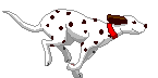 6281.gif